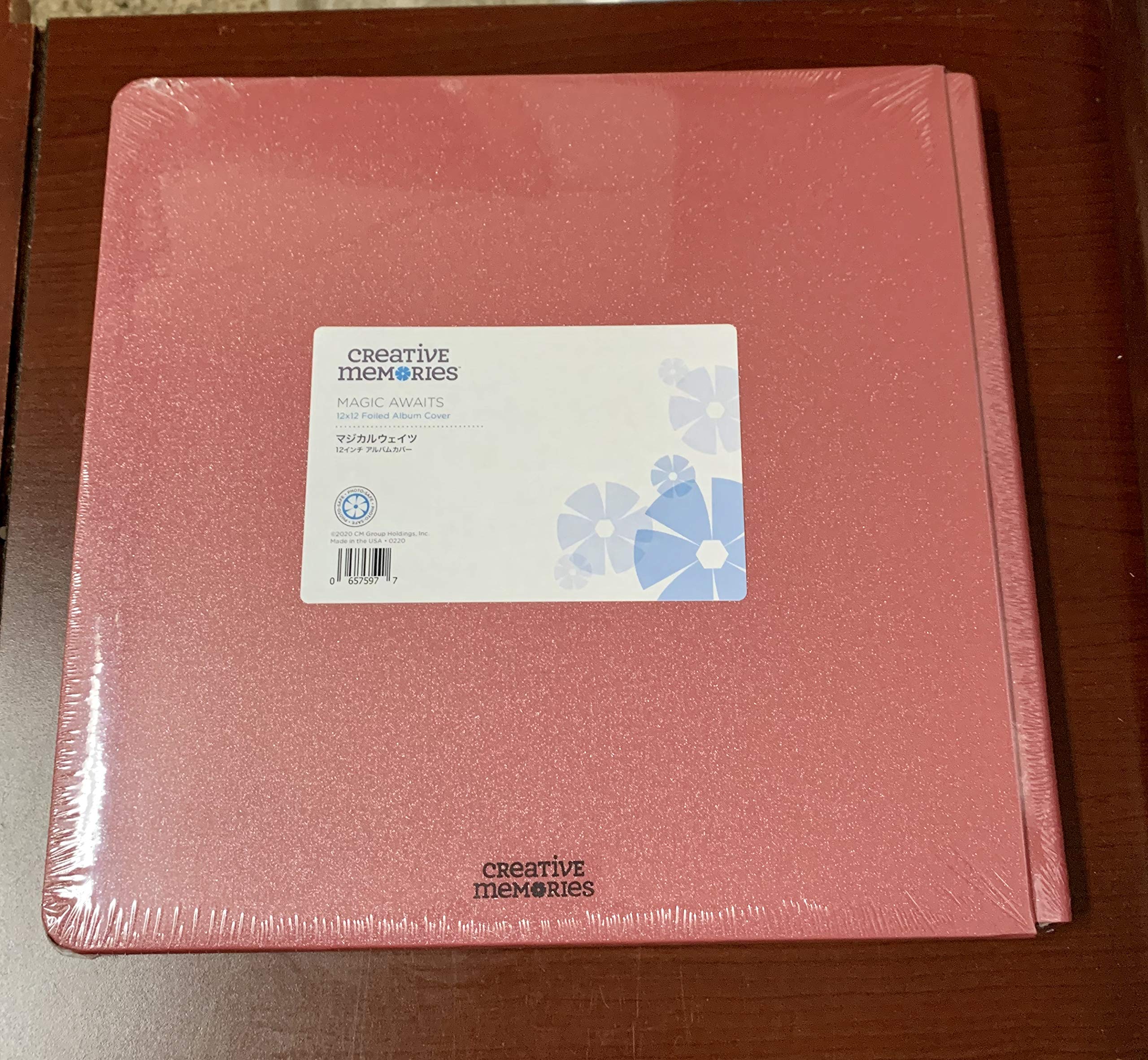 12x12 Cinnamon Sparkle Magic Await Album Cover Amusement Theme